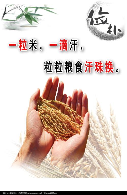 买假亚伯拉罕-鲍德温农业学院学位证